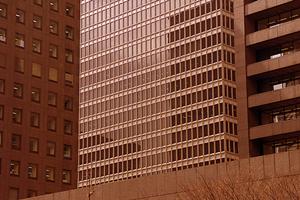 手軽で便利な建物コンテナハウス。