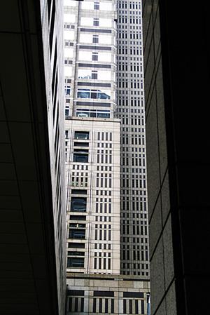 注目を集める三郷市の新築一戸建て