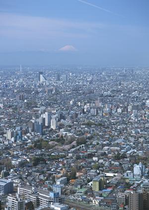 国分寺で注文住宅を建てる